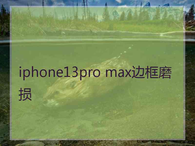 iphone13pro max边框磨损