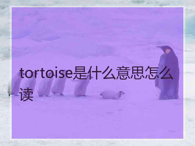 tortoise是什么意思怎么读