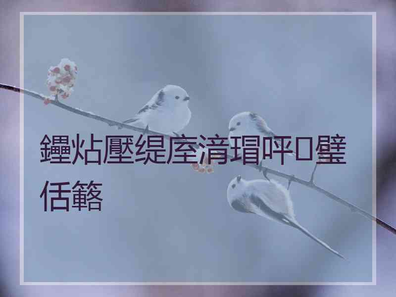 鑸炶壓缇庢湇瑁呯璧佸簵