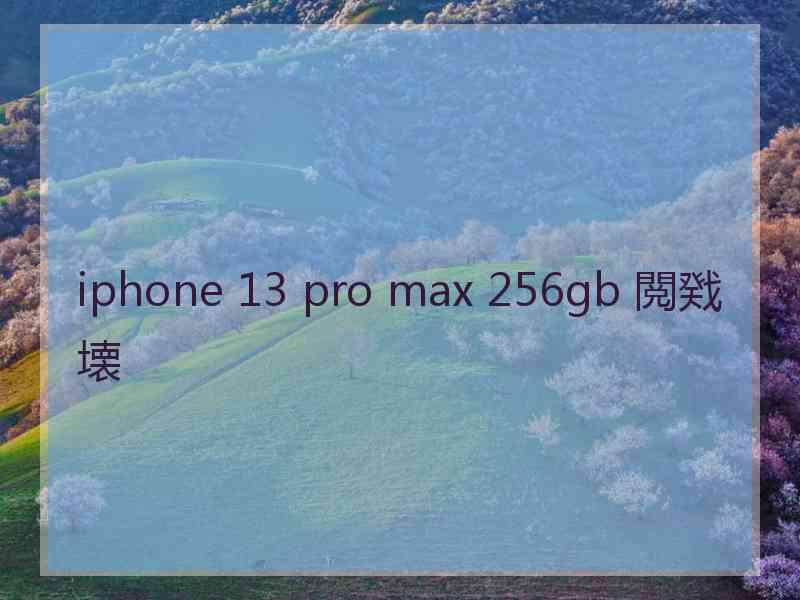 iphone 13 pro max 256gb 閲戣壊