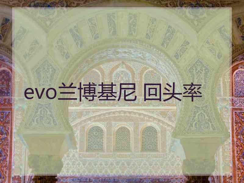 evo兰博基尼 回头率