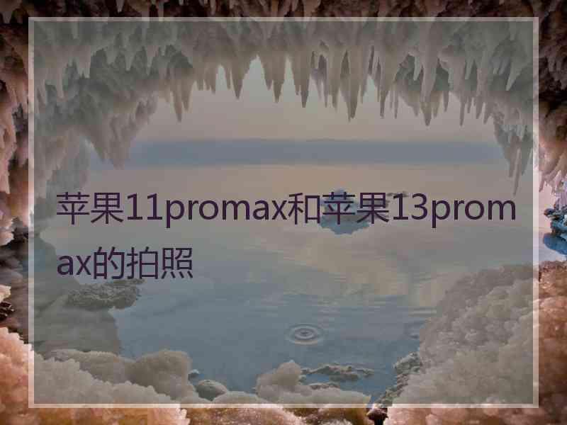 苹果11promax和苹果13promax的拍照