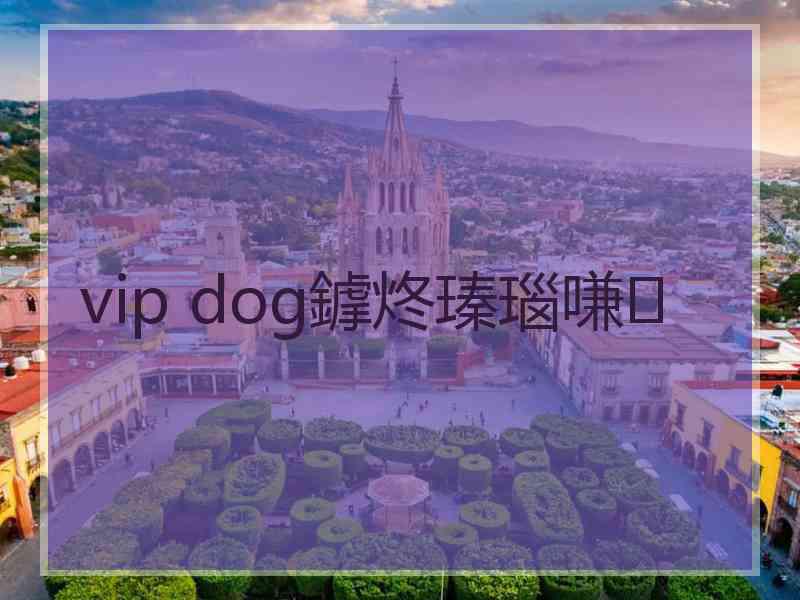 vip dog鎼炵瑧瑙嗛