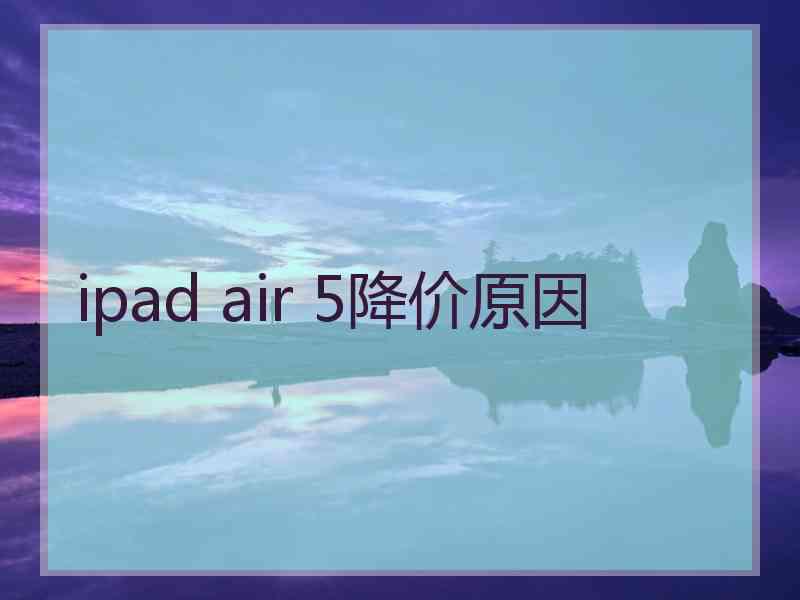 ipad air 5降价原因