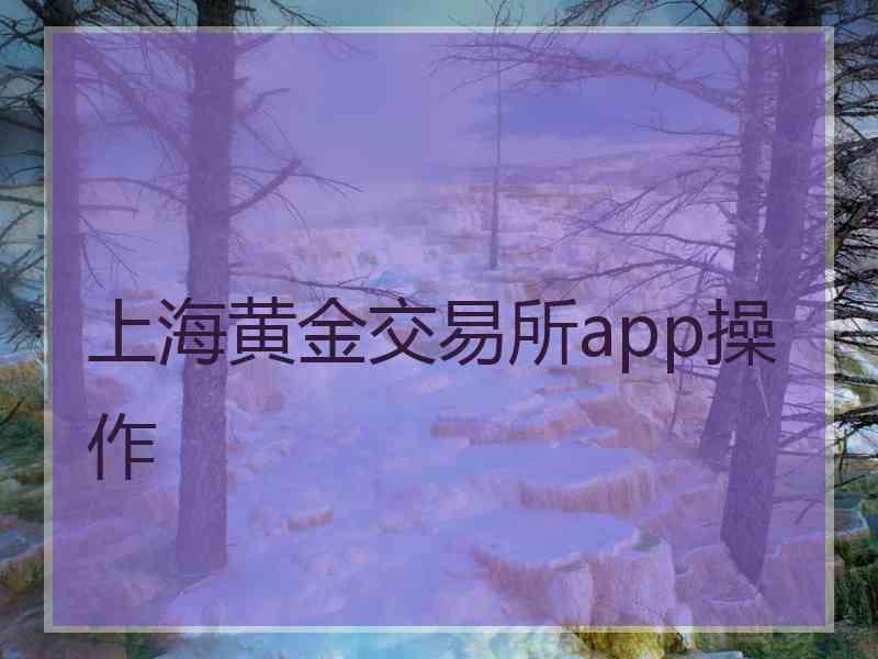 上海黄金交易所app操作