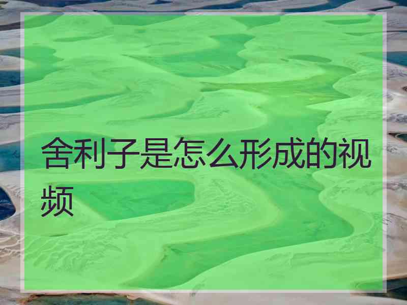 舍利子是怎么形成的视频