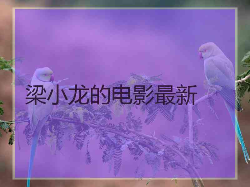 梁小龙的电影最新