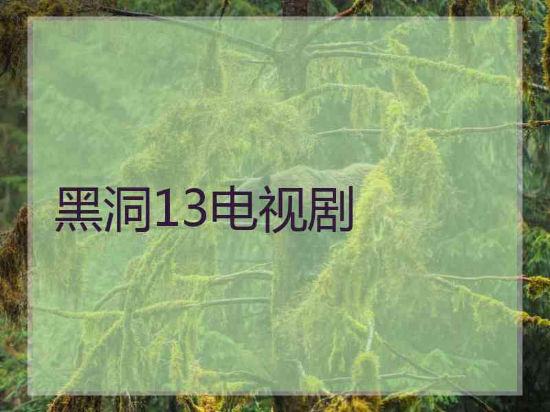 黑洞13电视剧