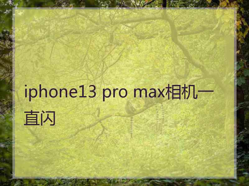 iphone13 pro max相机一直闪