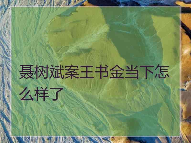 聂树斌案王书金当下怎么样了