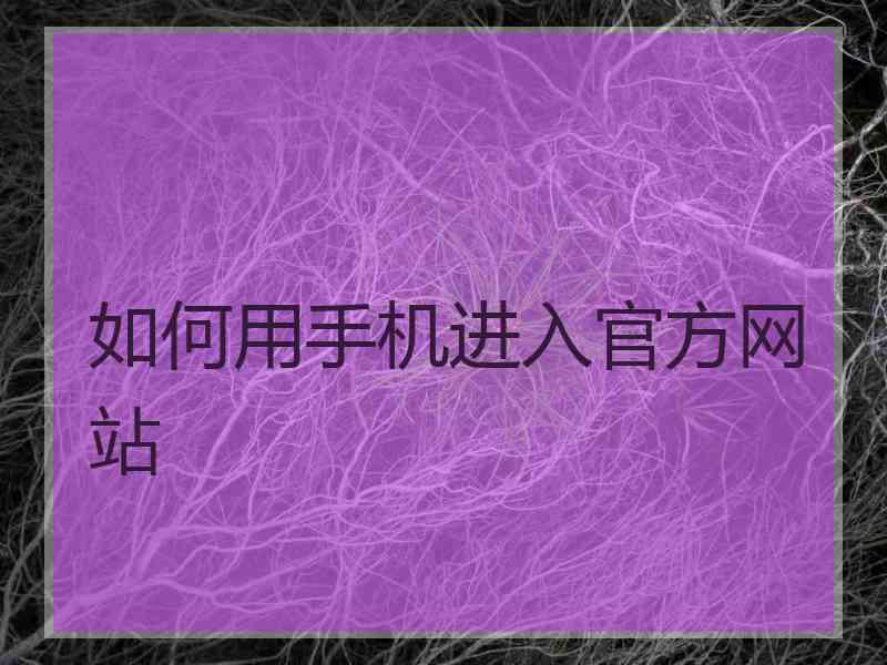 如何用手机进入官方网站