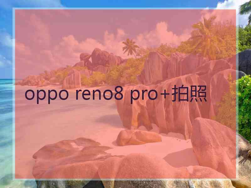 oppo reno8 pro+拍照