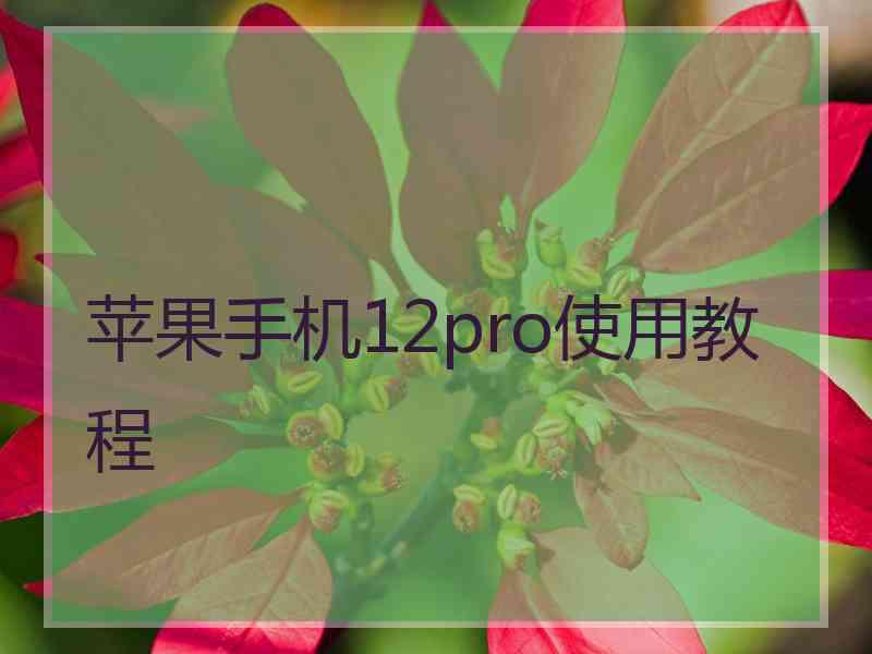 苹果手机12pro使用教程