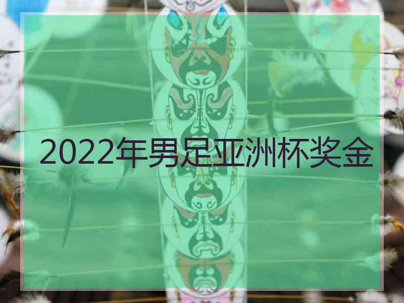 2022年男足亚洲杯奖金