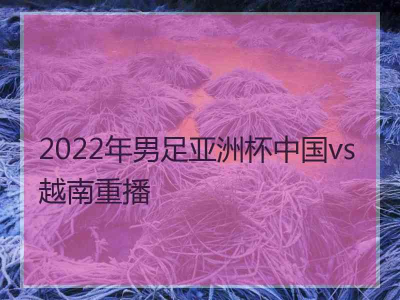 2022年男足亚洲杯中国vs越南重播