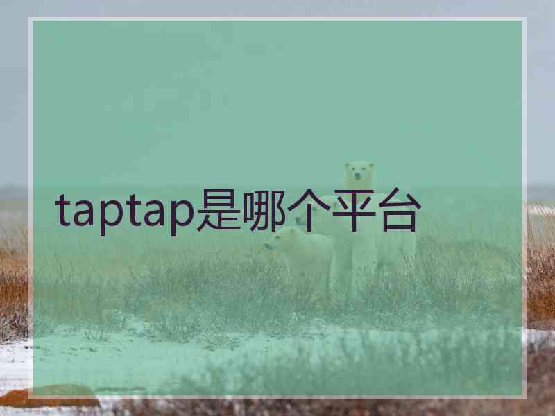 taptap是哪个平台