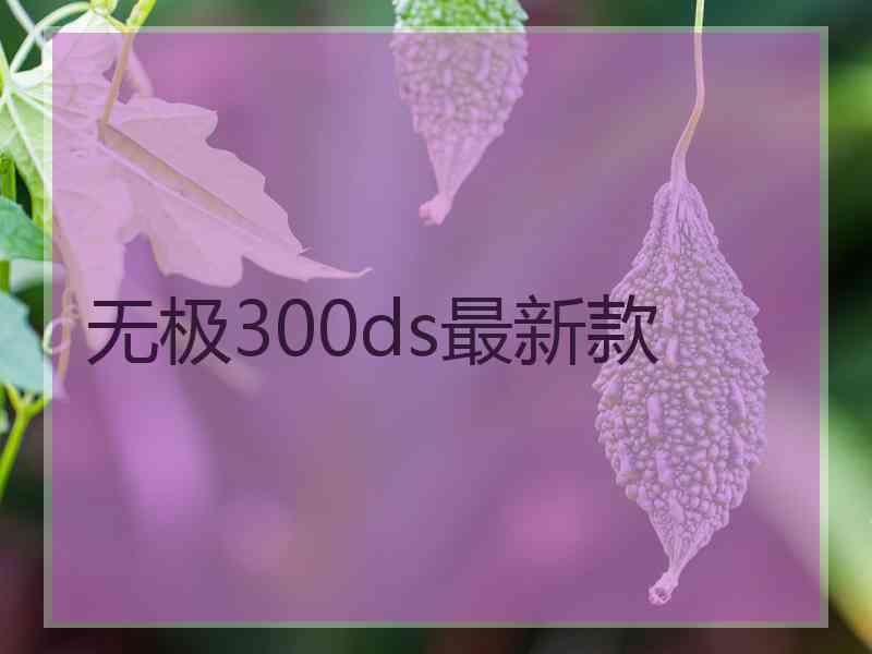 无极300ds最新款