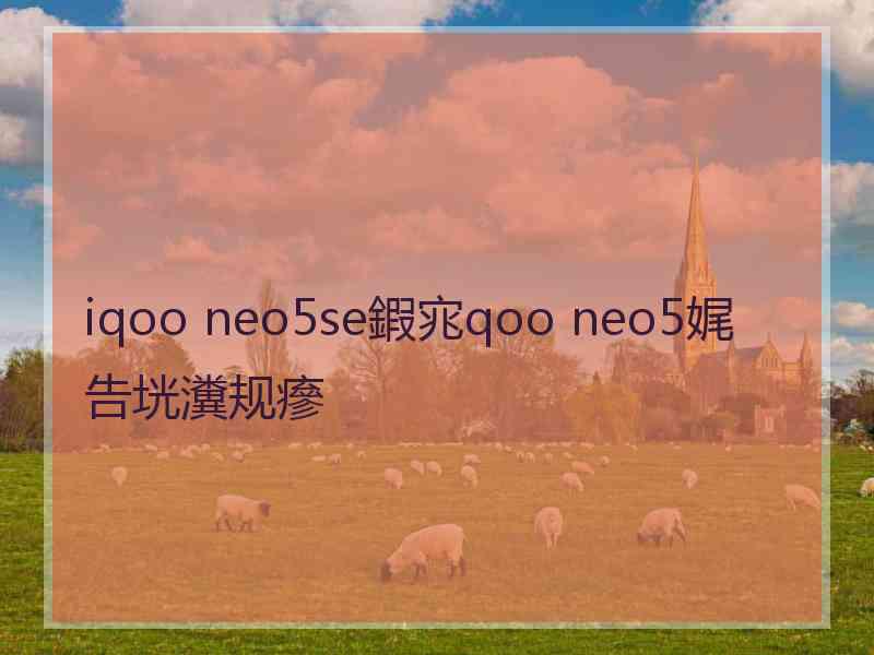 iqoo neo5se鍜宨qoo neo5娓告垙瀵规瘮