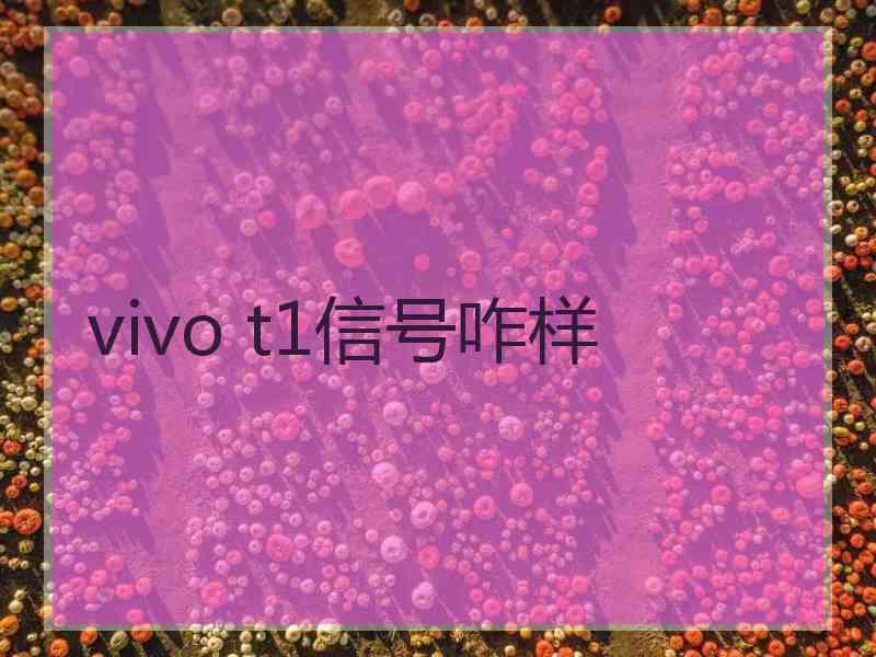 vivo t1信号咋样