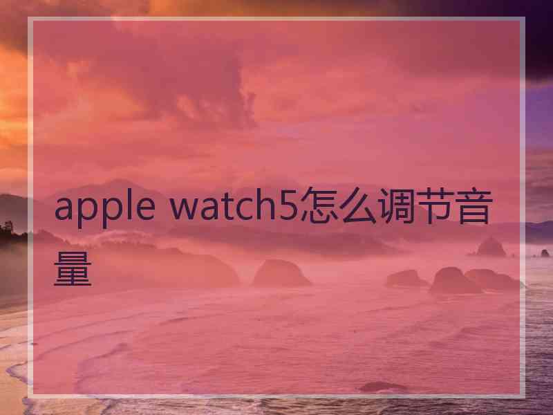 apple watch5怎么调节音量