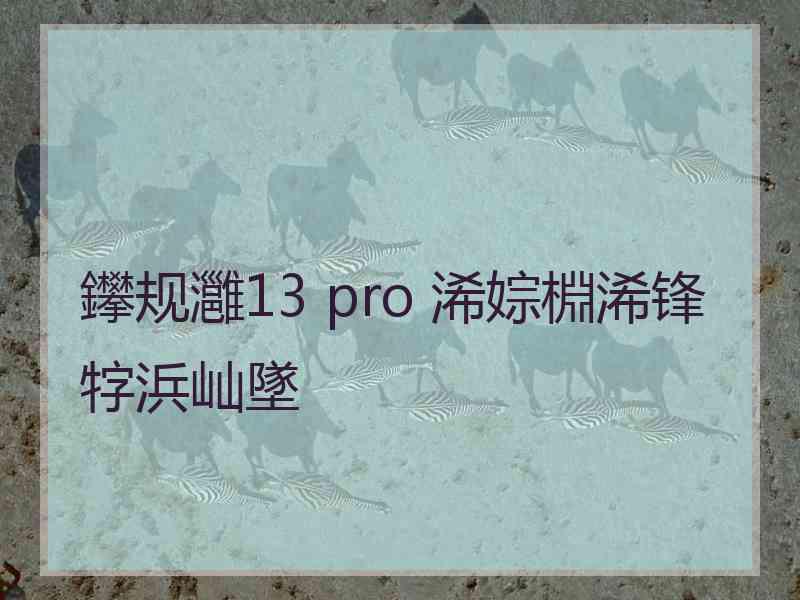 鑻规灉13 pro 浠婃棩浠锋牸浜屾墜