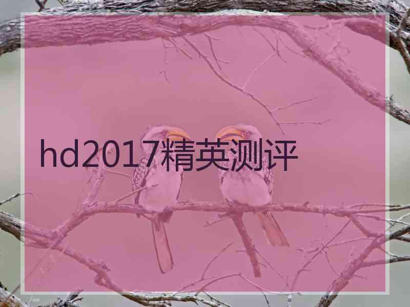 hd2017精英测评