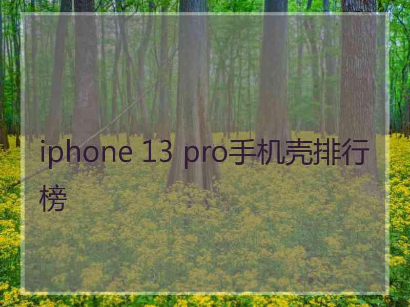 iphone 13 pro手机壳排行榜