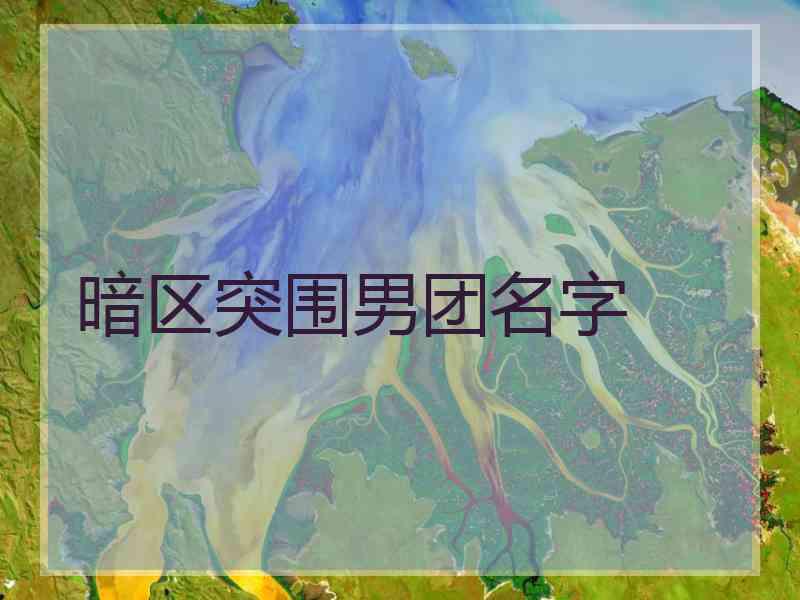 暗区突围男团名字