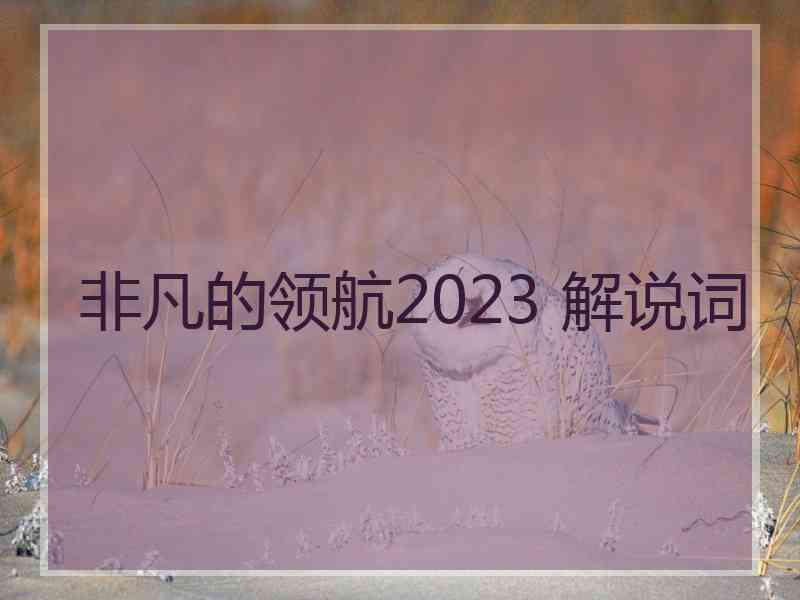 非凡的领航2023 解说词