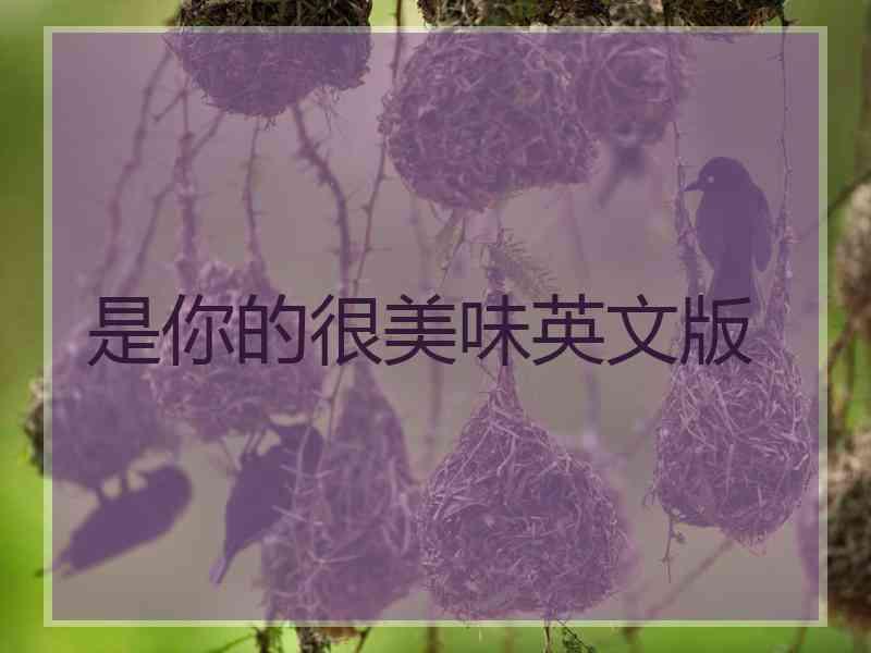 是你的很美味英文版