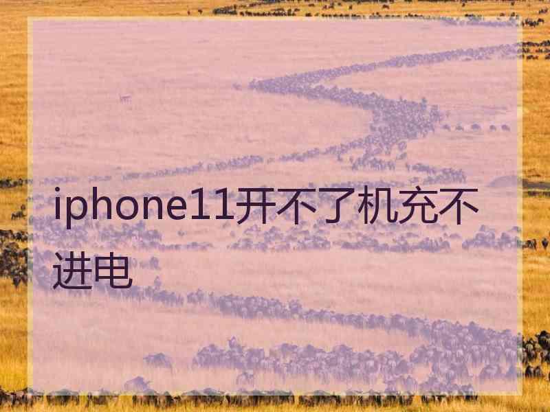 iphone11开不了机充不进电