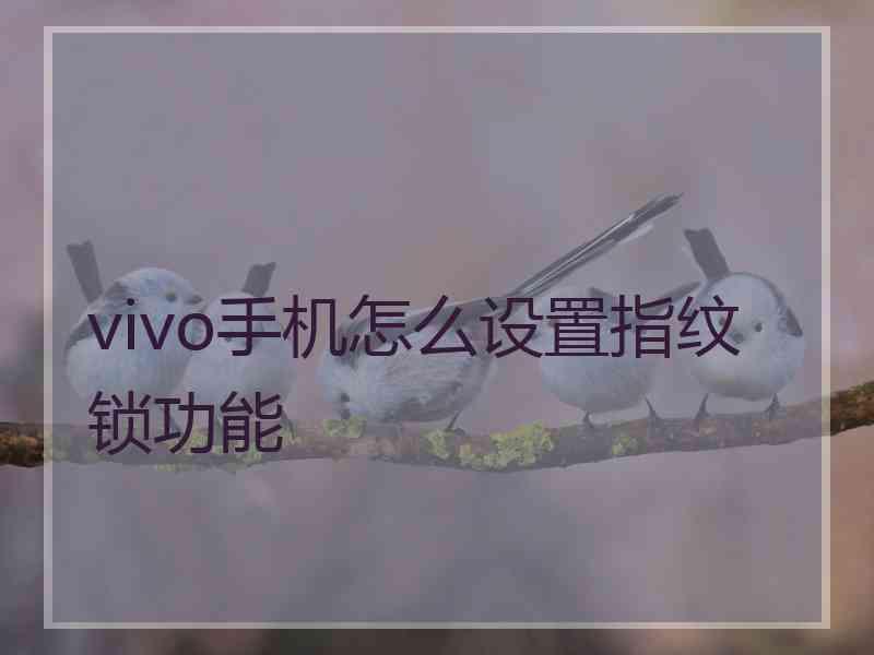 vivo手机怎么设置指纹锁功能