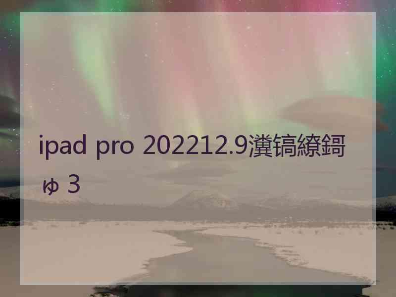 ipad pro 202212.9瀵镐繚鎶ゅ３