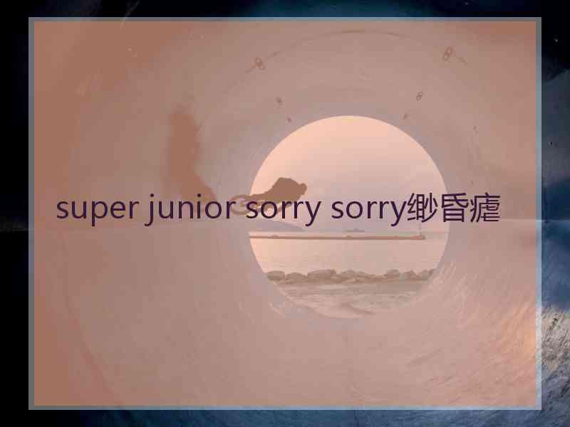 super junior sorry sorry缈昏瘧