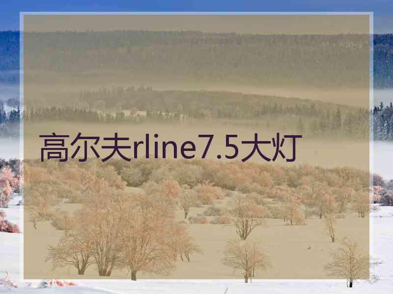 高尔夫rline7.5大灯