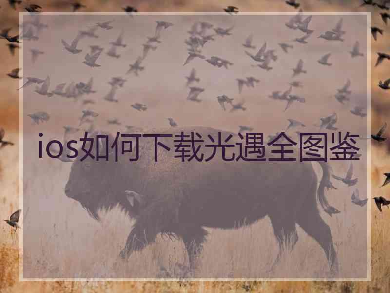 ios如何下载光遇全图鉴