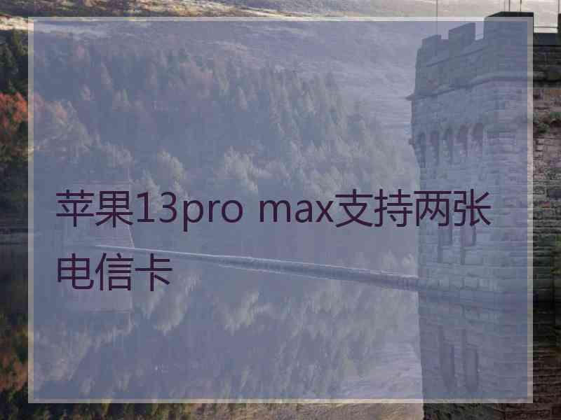 苹果13pro max支持两张电信卡