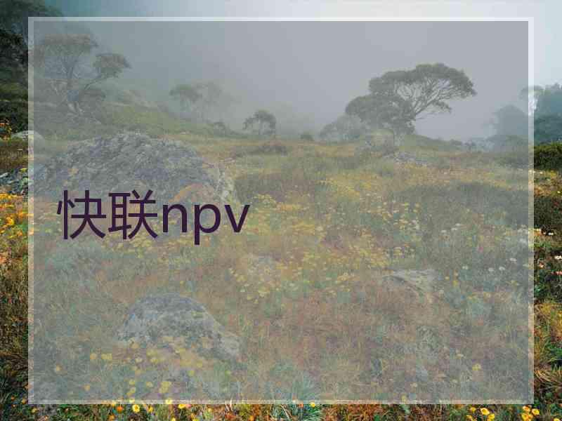 快联npv