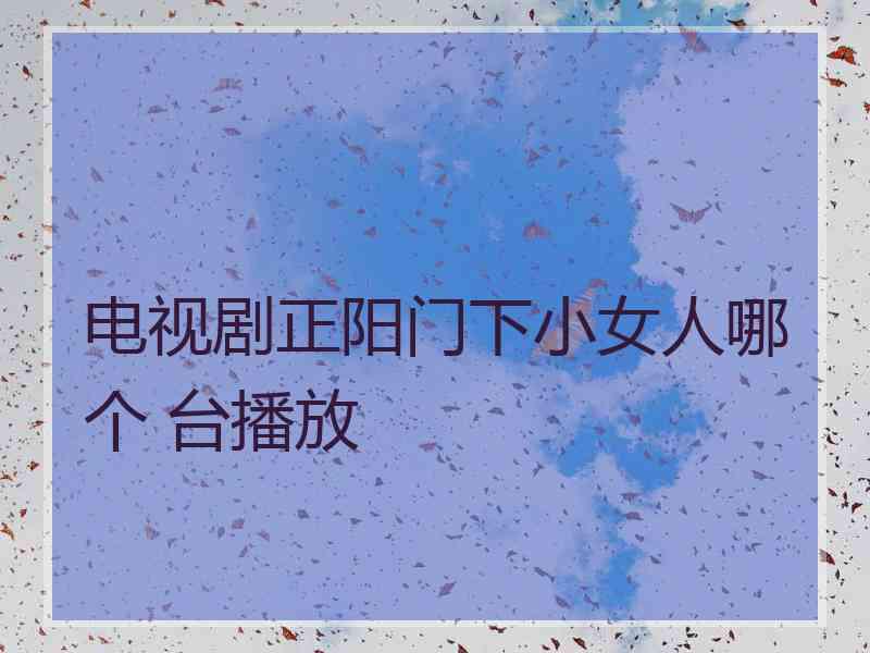 电视剧正阳门下小女人哪个 台播放