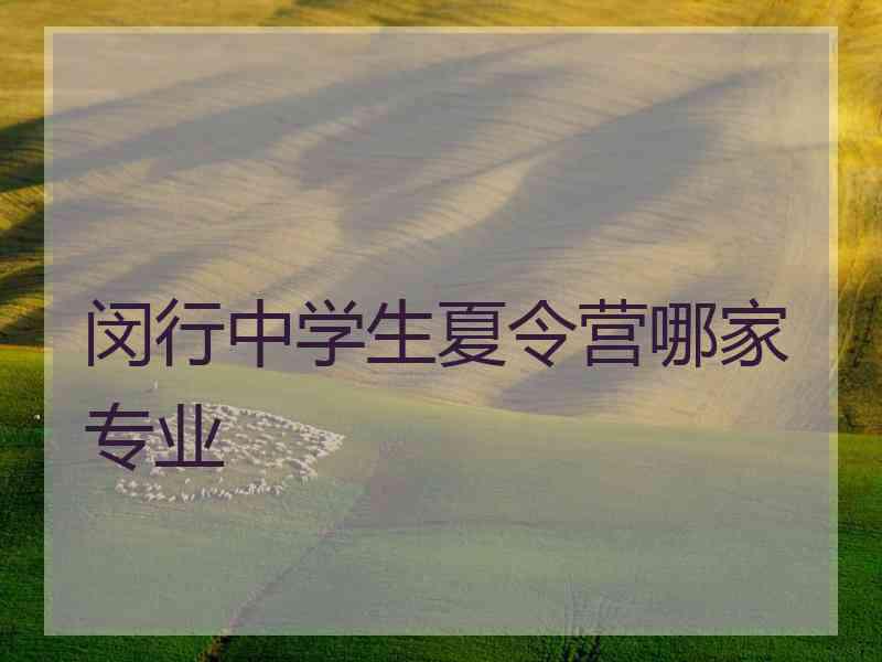 闵行中学生夏令营哪家专业