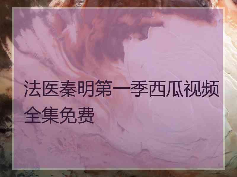 法医秦明第一季西瓜视频全集免费