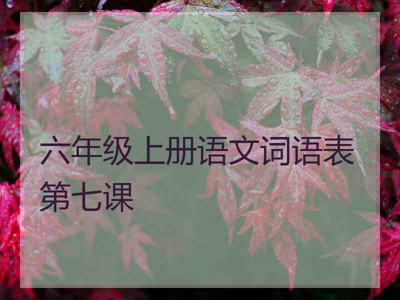 六年级上册语文词语表第七课