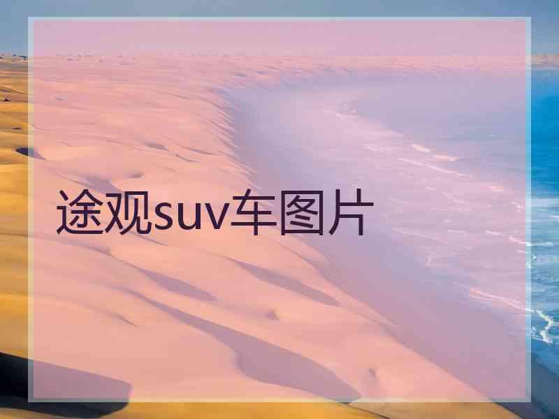 途观suv车图片