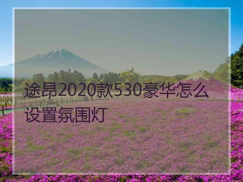 途昂2020款530豪华怎么设置氛围灯