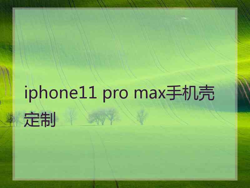 iphone11 pro max手机壳定制