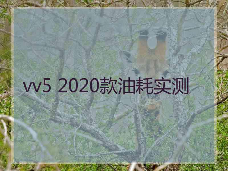 vv5 2020款油耗实测