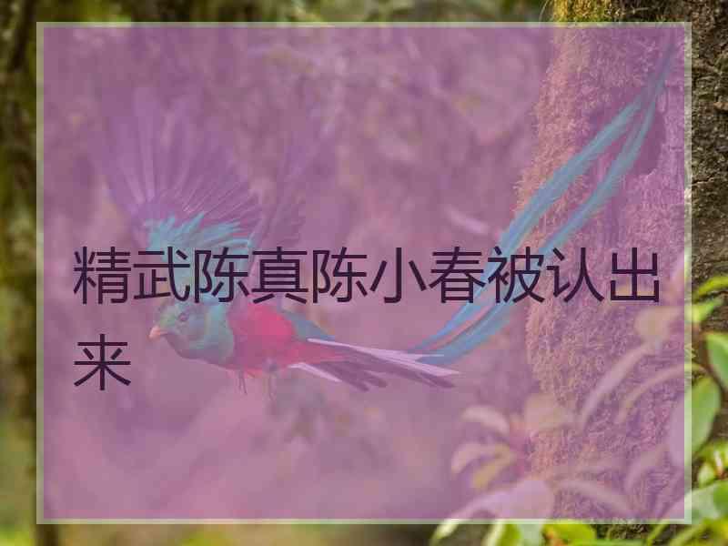 精武陈真陈小春被认出来