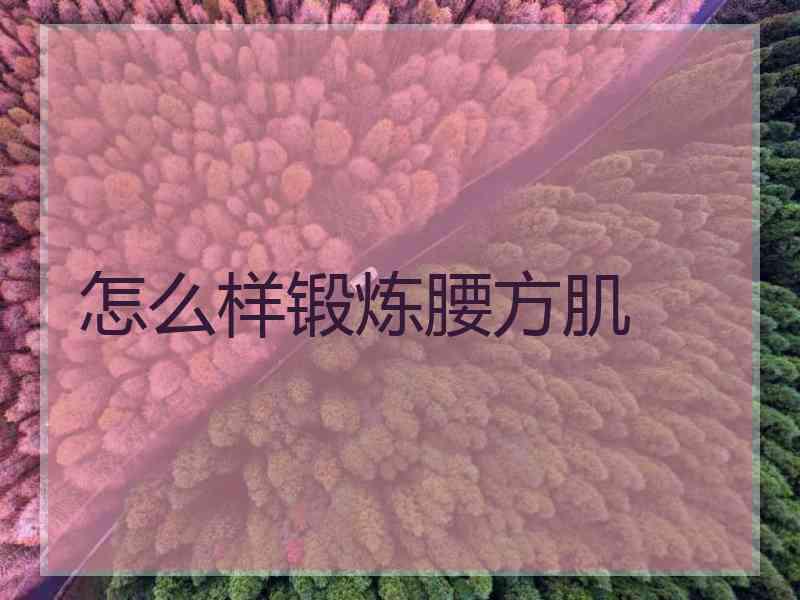 怎么样锻炼腰方肌