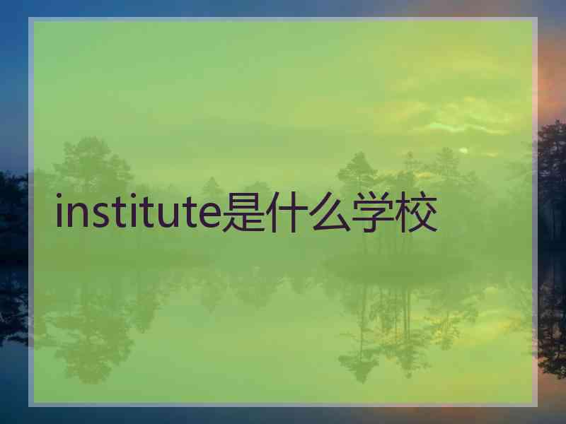 institute是什么学校