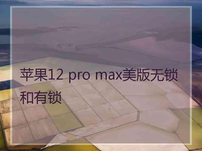 苹果12 pro max美版无锁和有锁